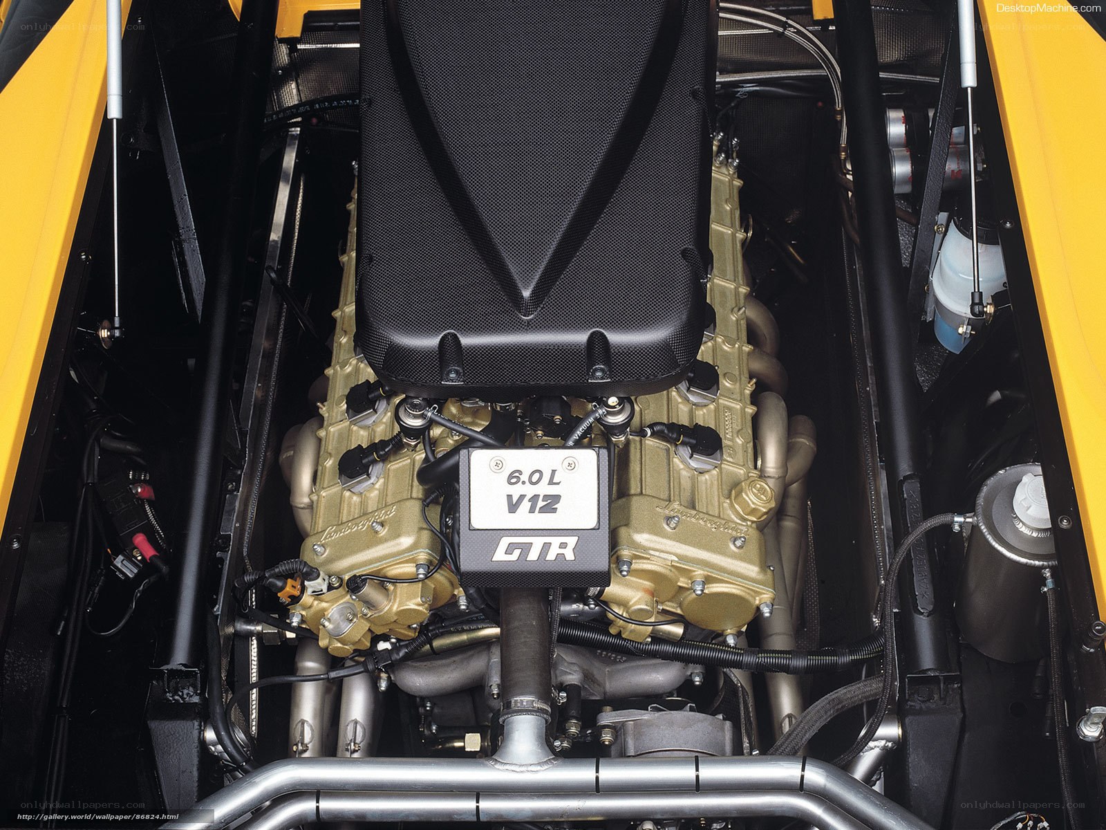 Lamborghini GTR engine