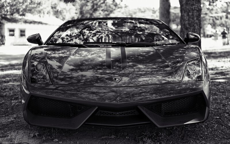 Lamborghini in a park