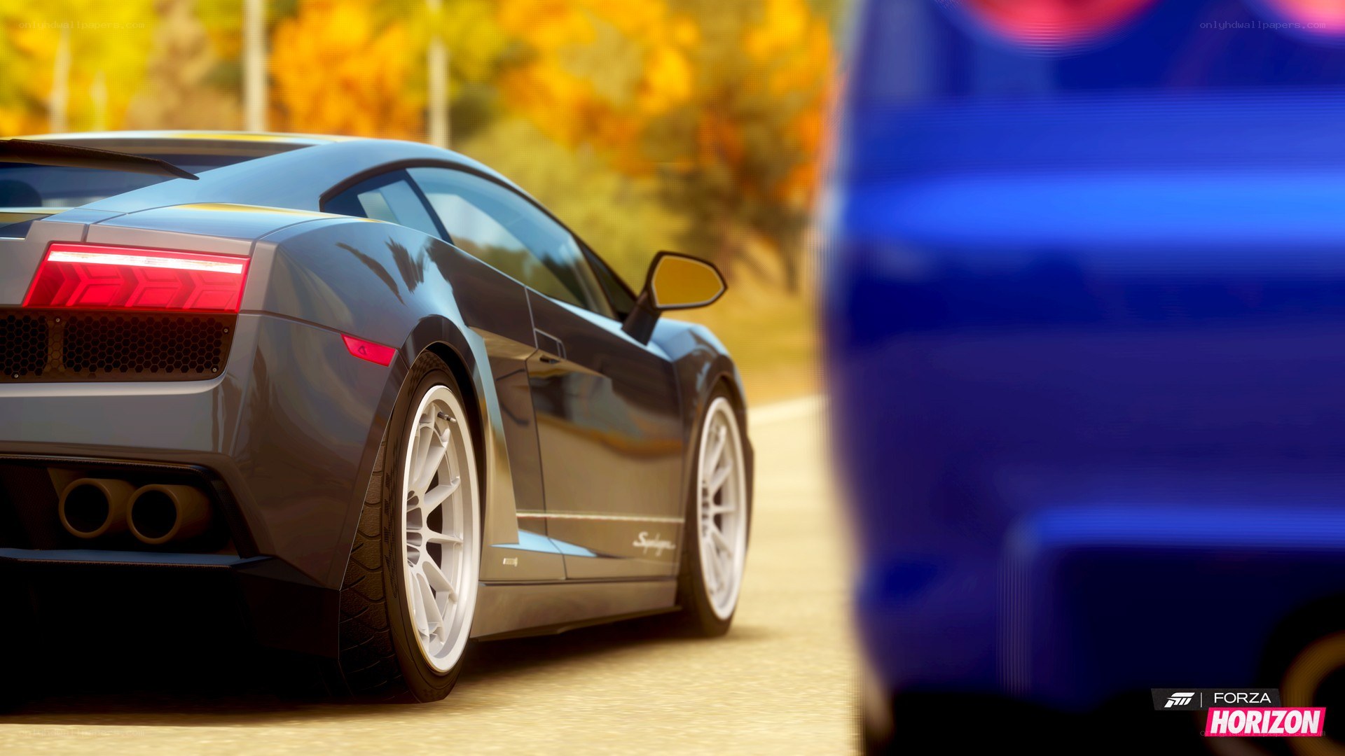 Lamborghini in autumn scenery