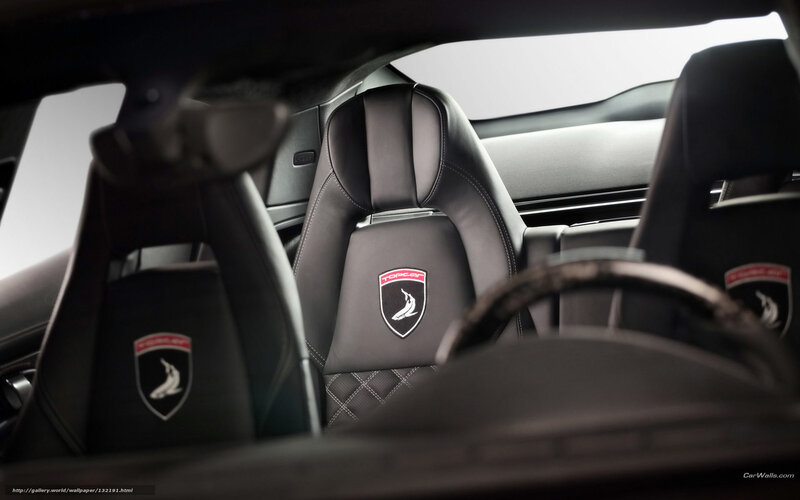 Lamborghini interior with TopCar logo