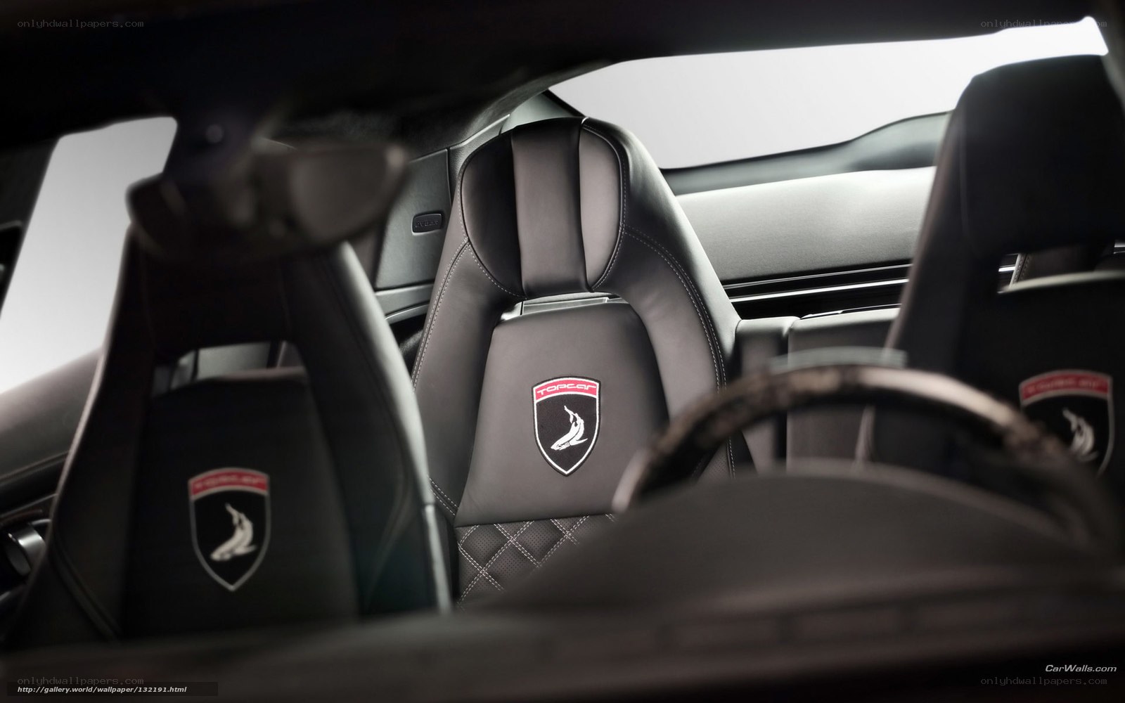 Lamborghini interior with TopCar logo