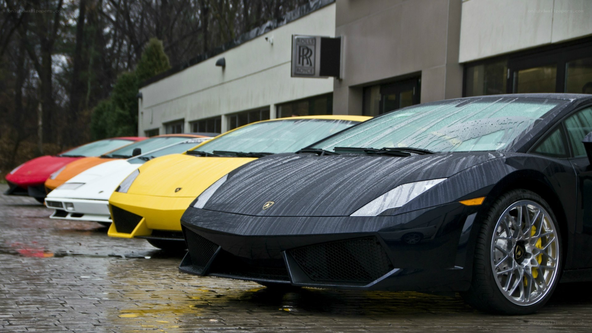 Lamborghini lineup at dealership