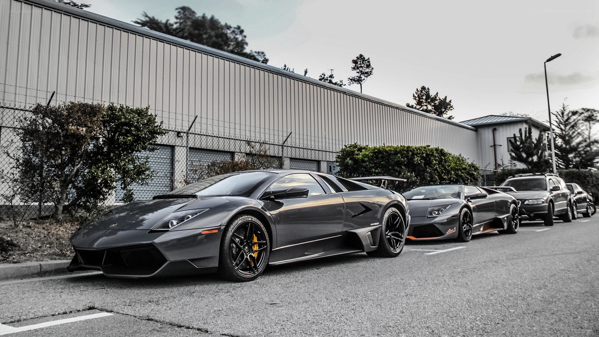 Lamborghini lineup in parking lot