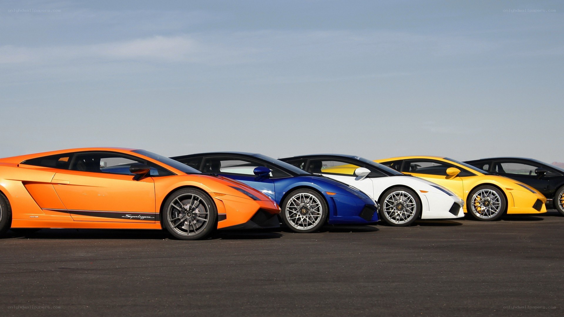 Lamborghini lineup in various colors