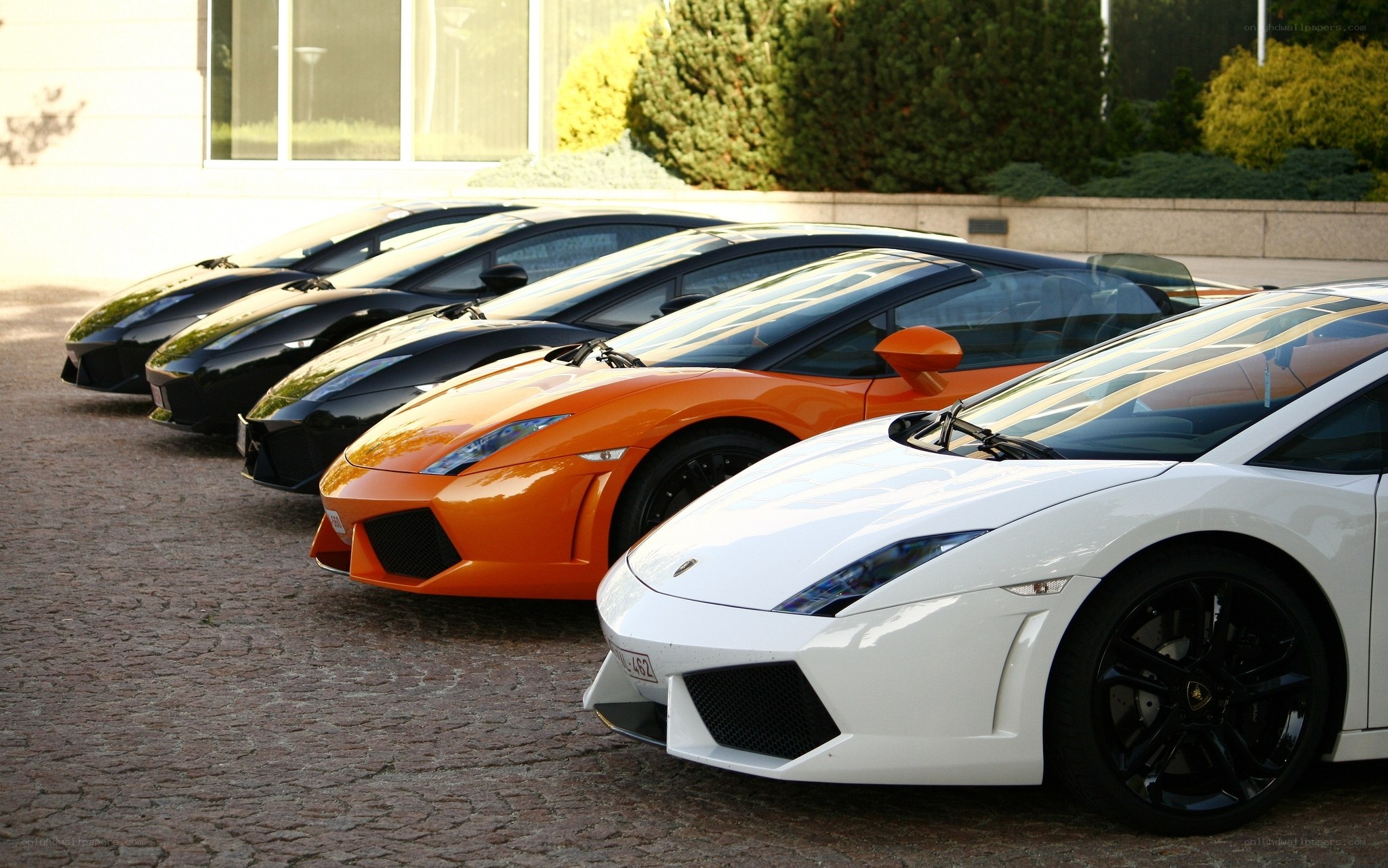 Lamborghini lineup in various colors