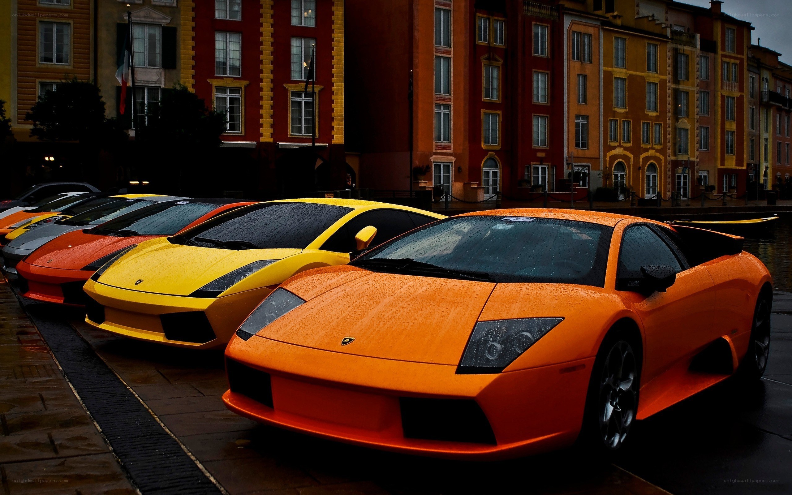 Lamborghini lineup on wet street