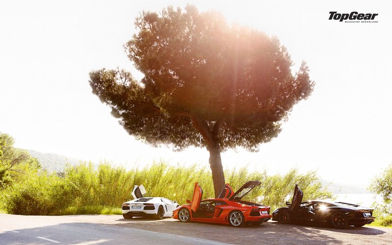 Lamborghini lineup under a tree