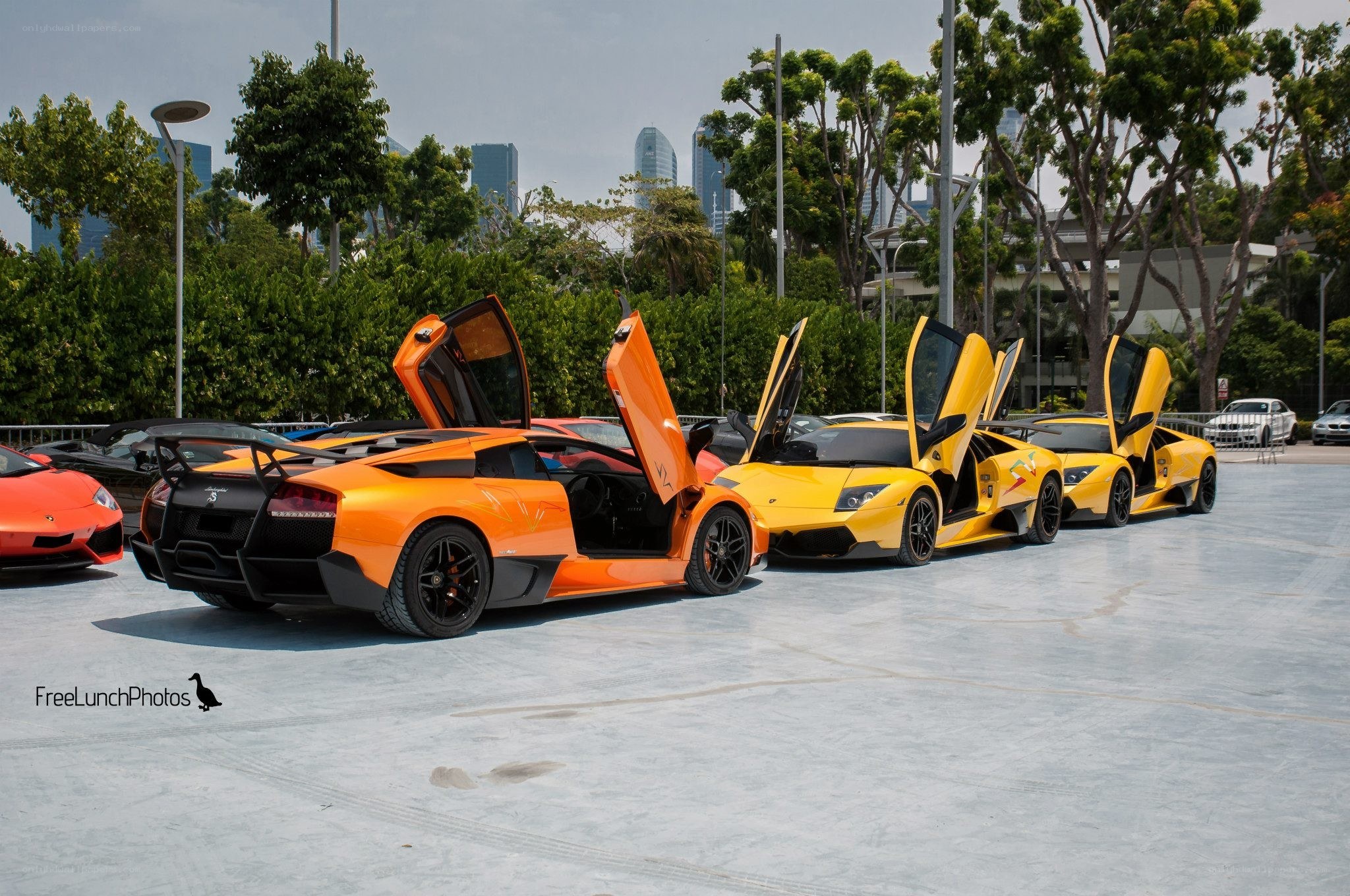 Lamborghini lineup with doors open