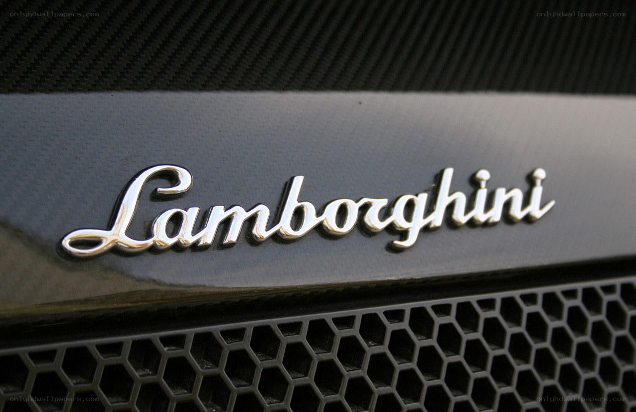 Lamborghini logo on car