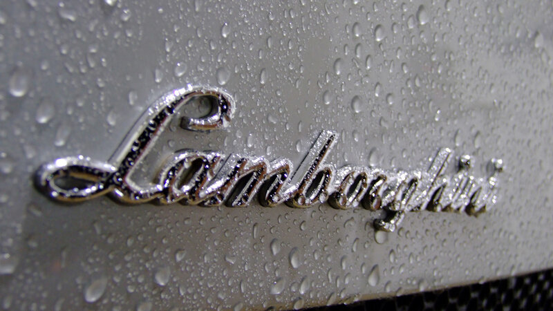 Lamborghini Logo on Car — Silver