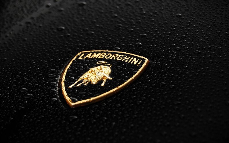 Lamborghini Logo on Wet Surface — Black