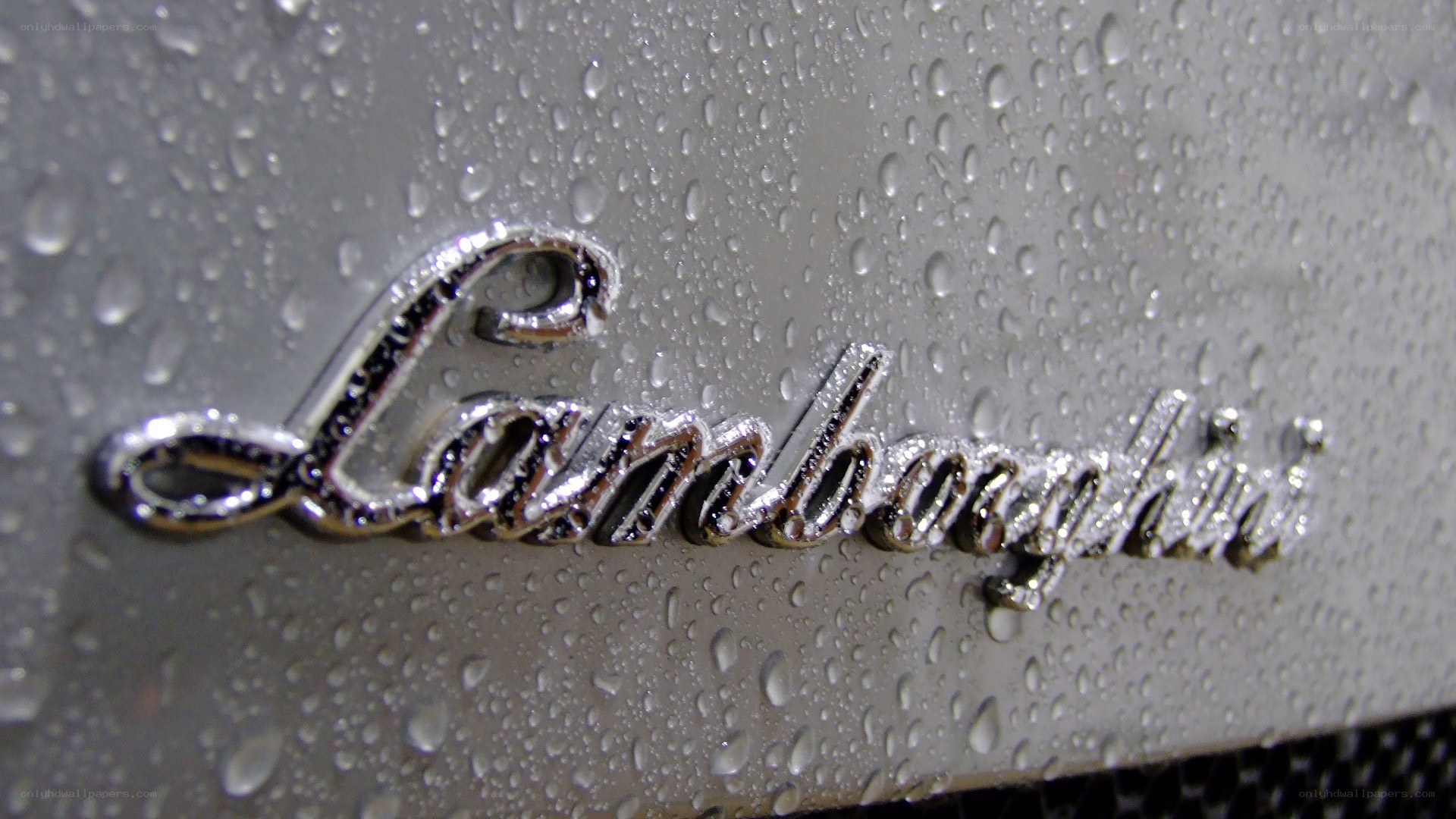 Lamborghini logo on wet surface