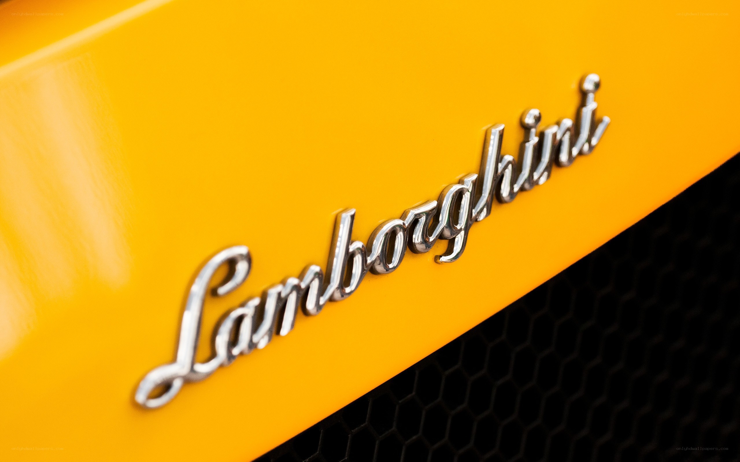 Lamborghini logo on yellow car