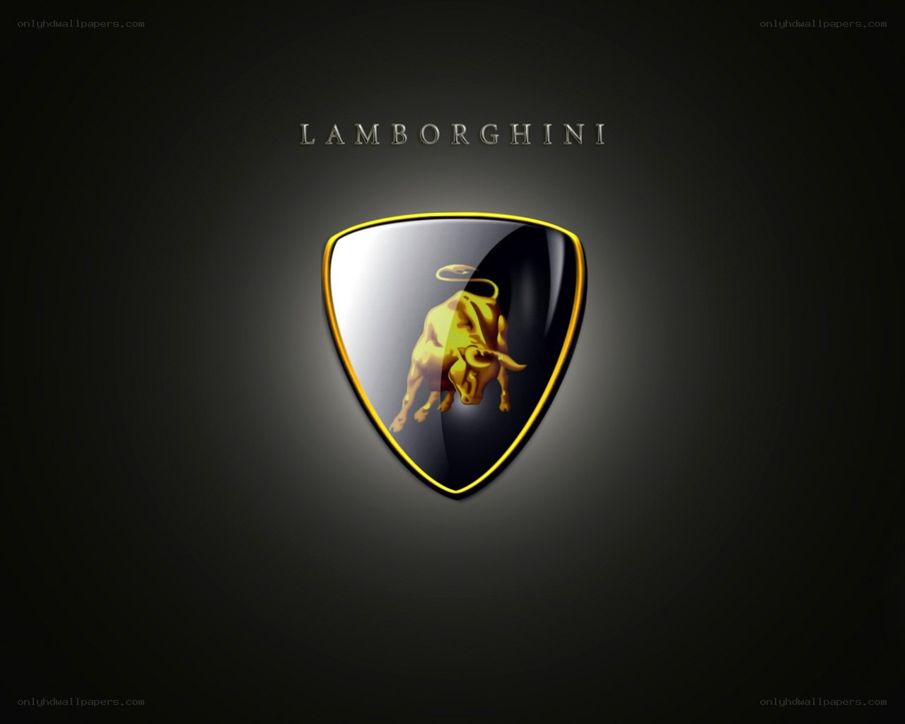 Lamborghini logo shield