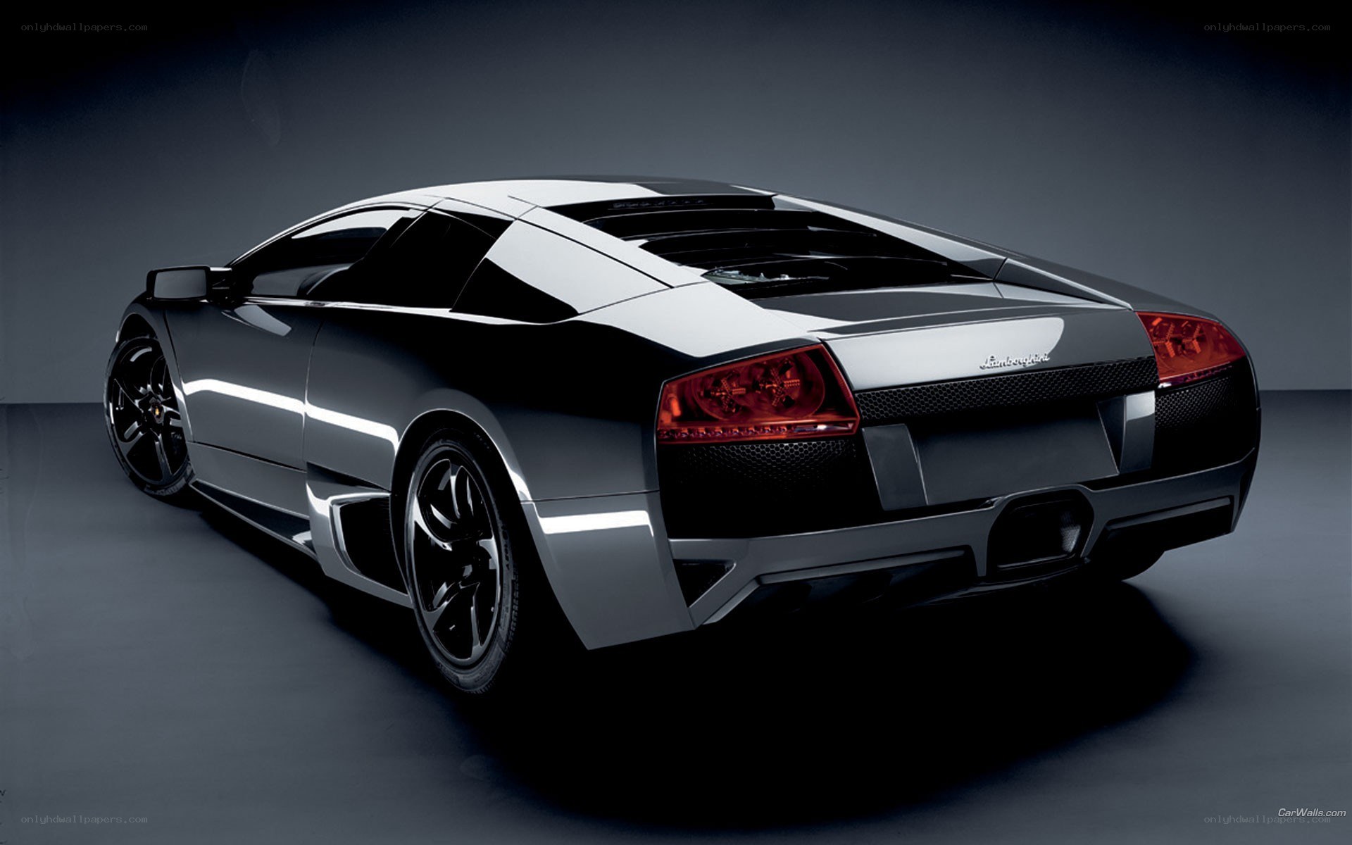 Lamborghini Murcielago rear view