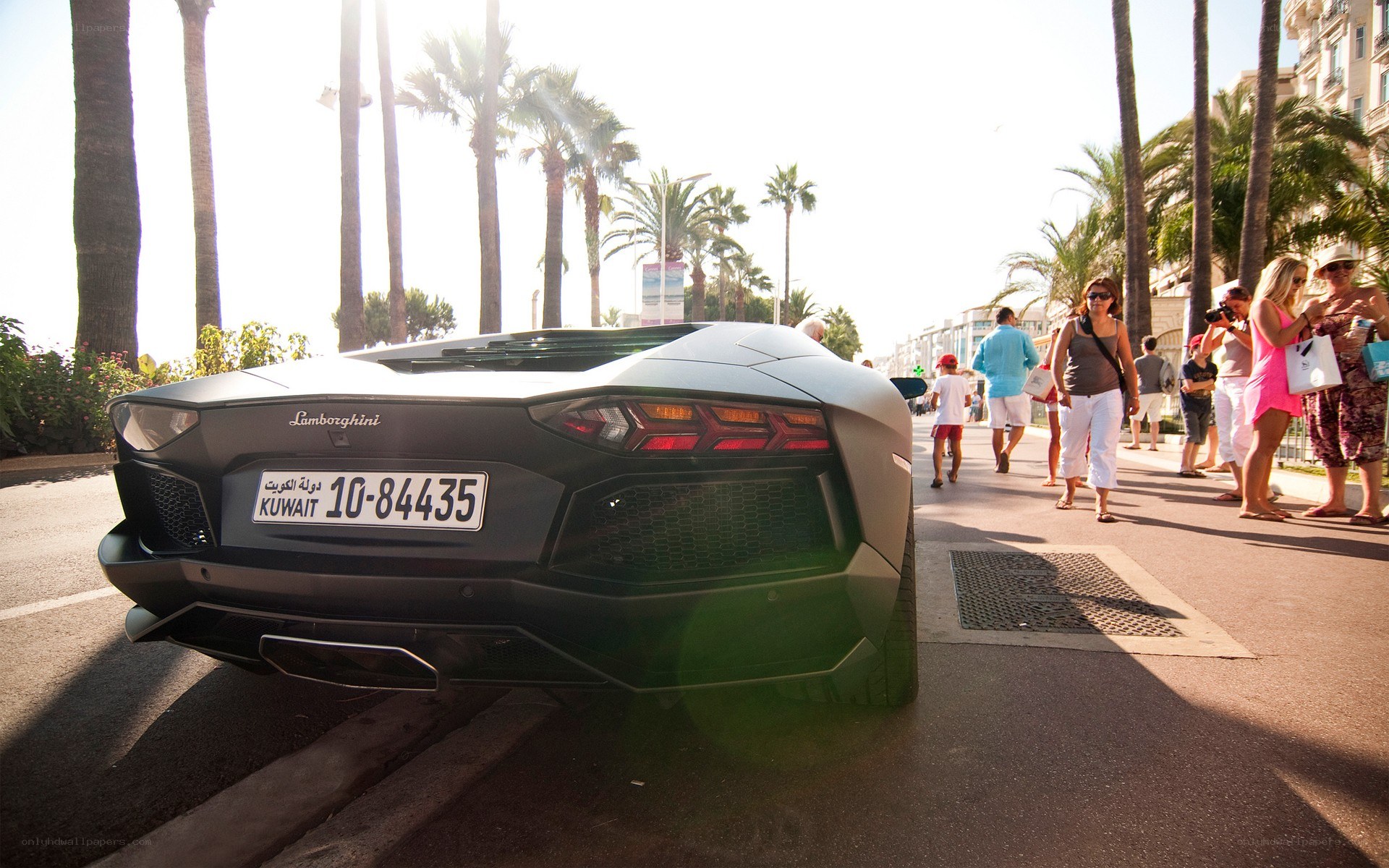 Lamborghini on a palm-lined street