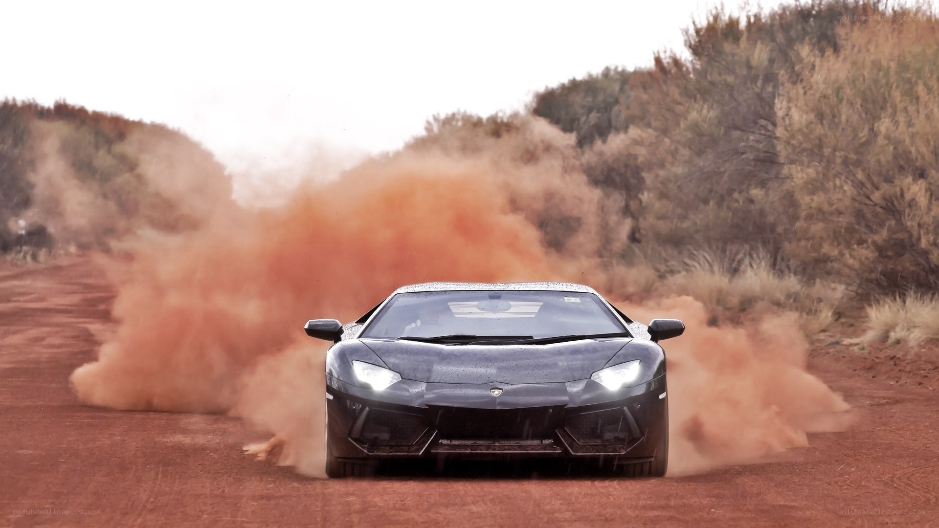 Lamborghini on dusty road