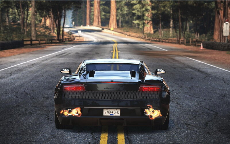 Lamborghini on forest road
