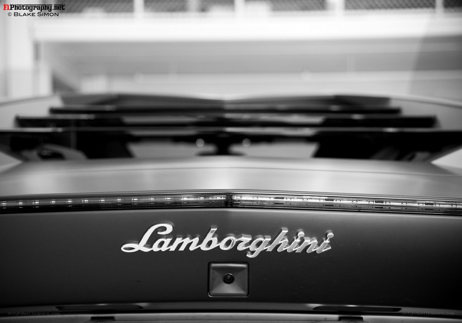 Lamborghini rear badge close-up