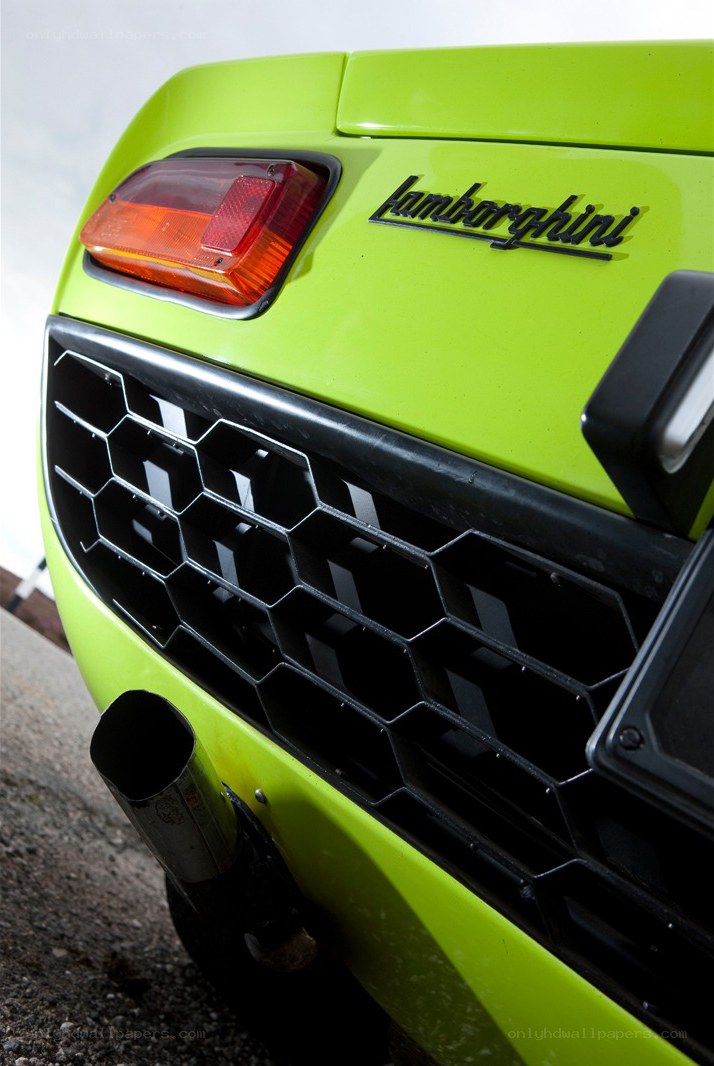 Lamborghini rear detail
