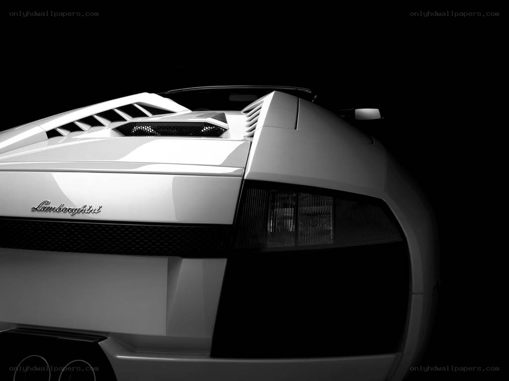 Lamborghini rear view