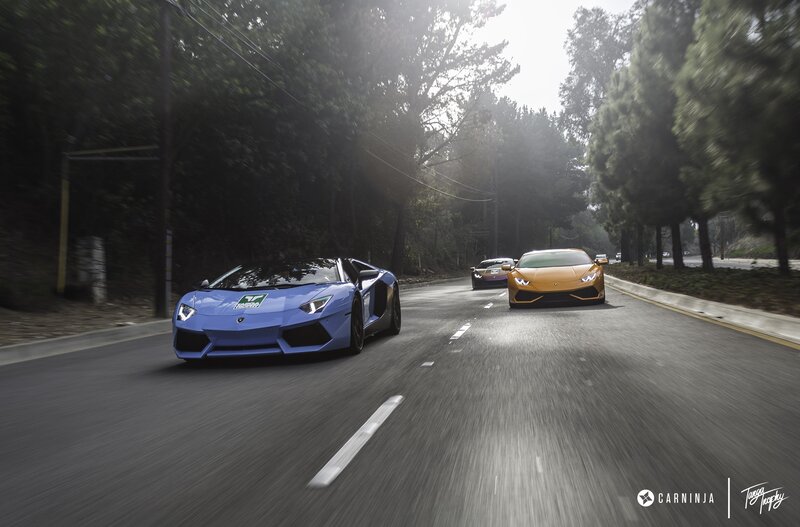Lamborghini Sports Cars — Blue