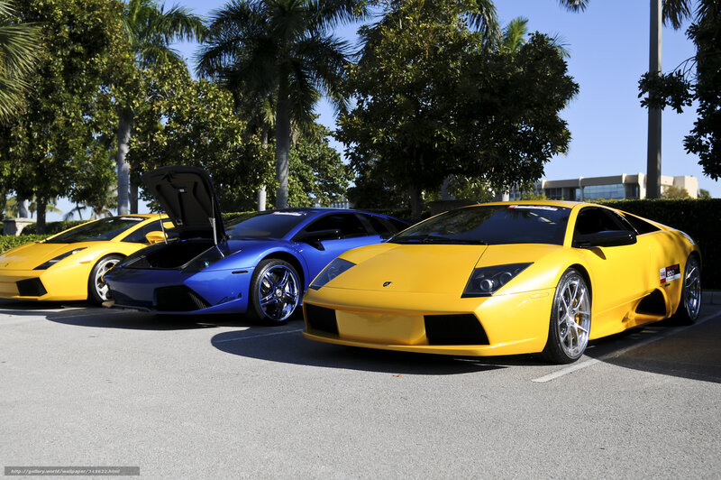 Lamborghini sports cars in a row