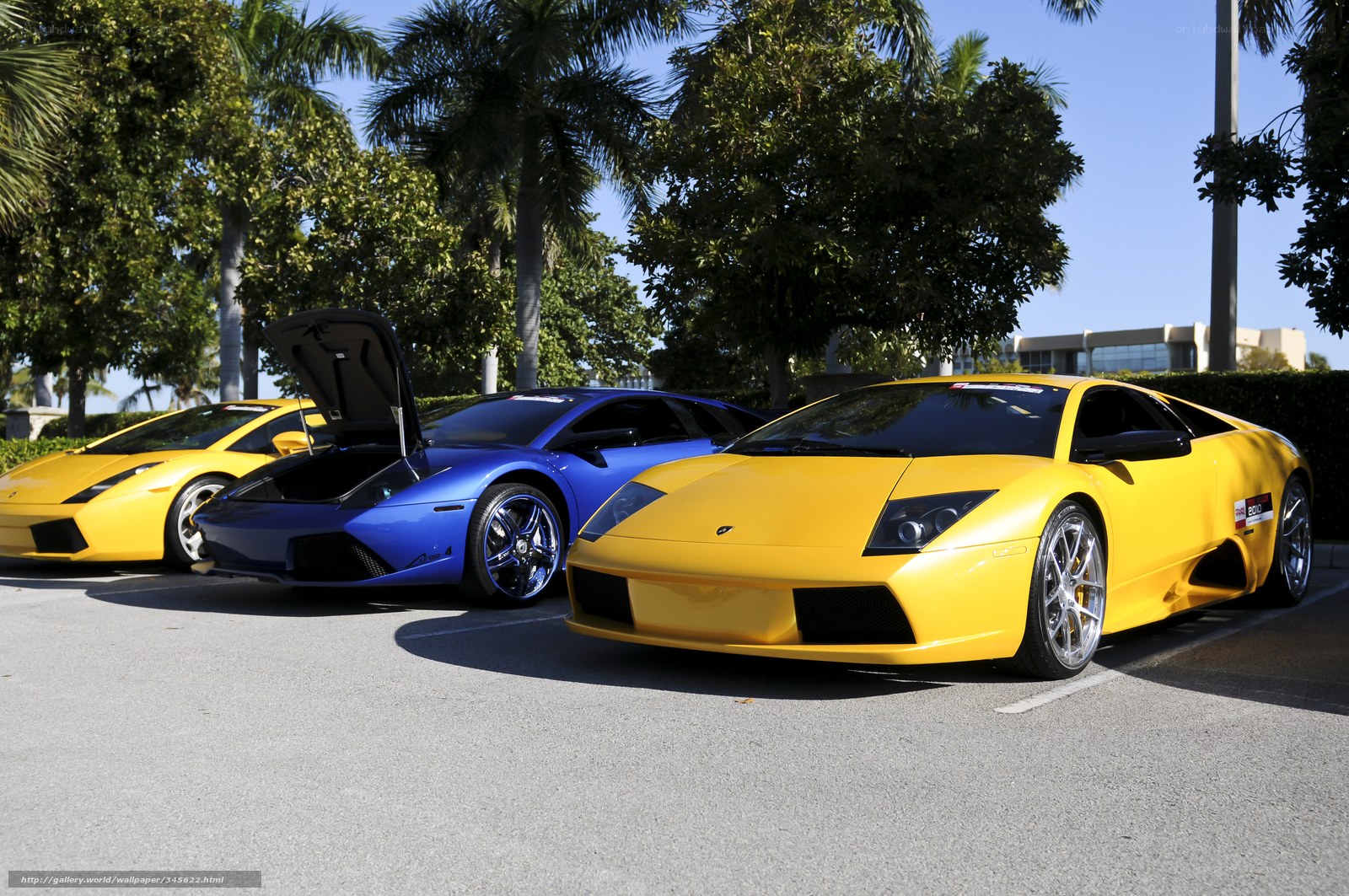 Lamborghini sports cars in a row