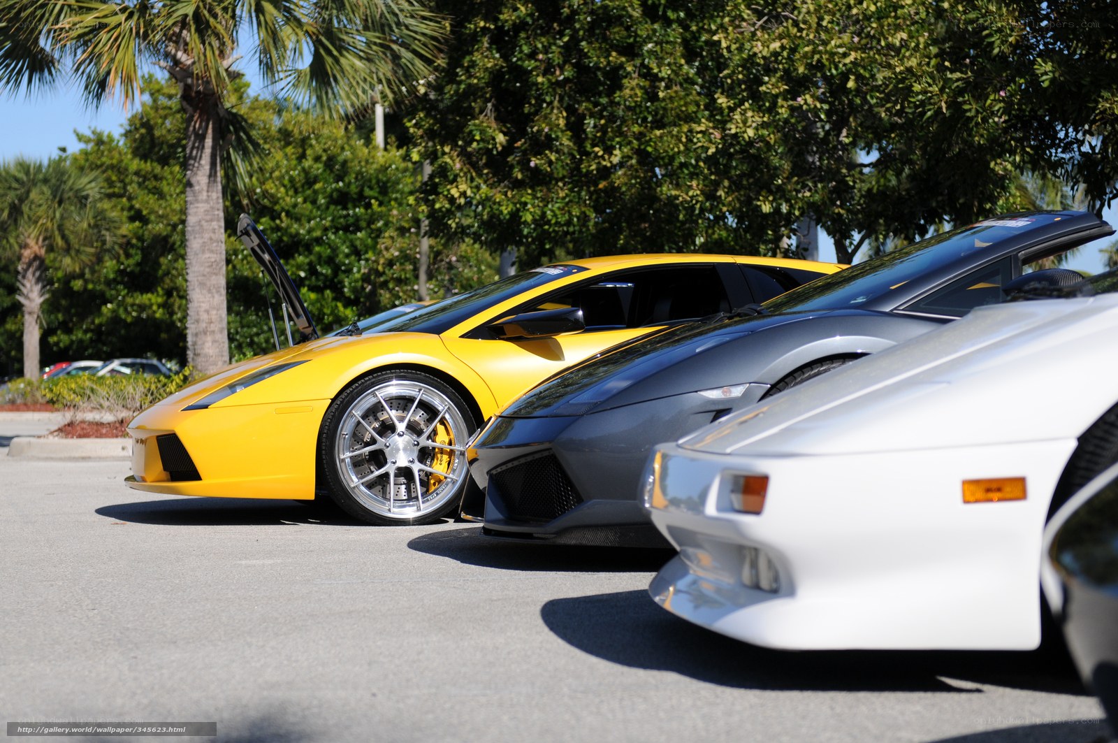 Lamborghini sports cars in a row