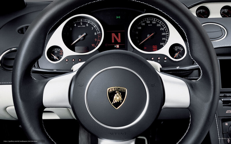 Lamborghini steering wheel interior