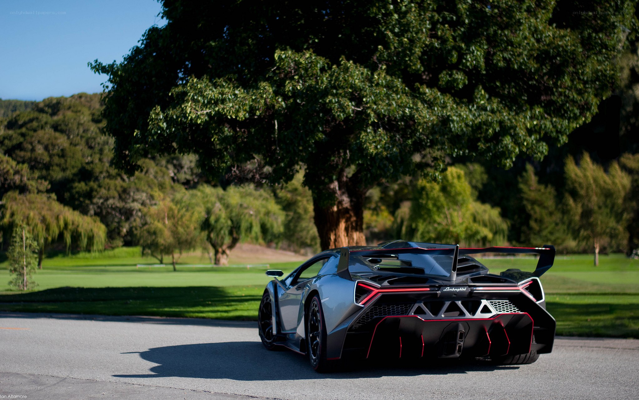 Lamborghini Veneno on a golf course