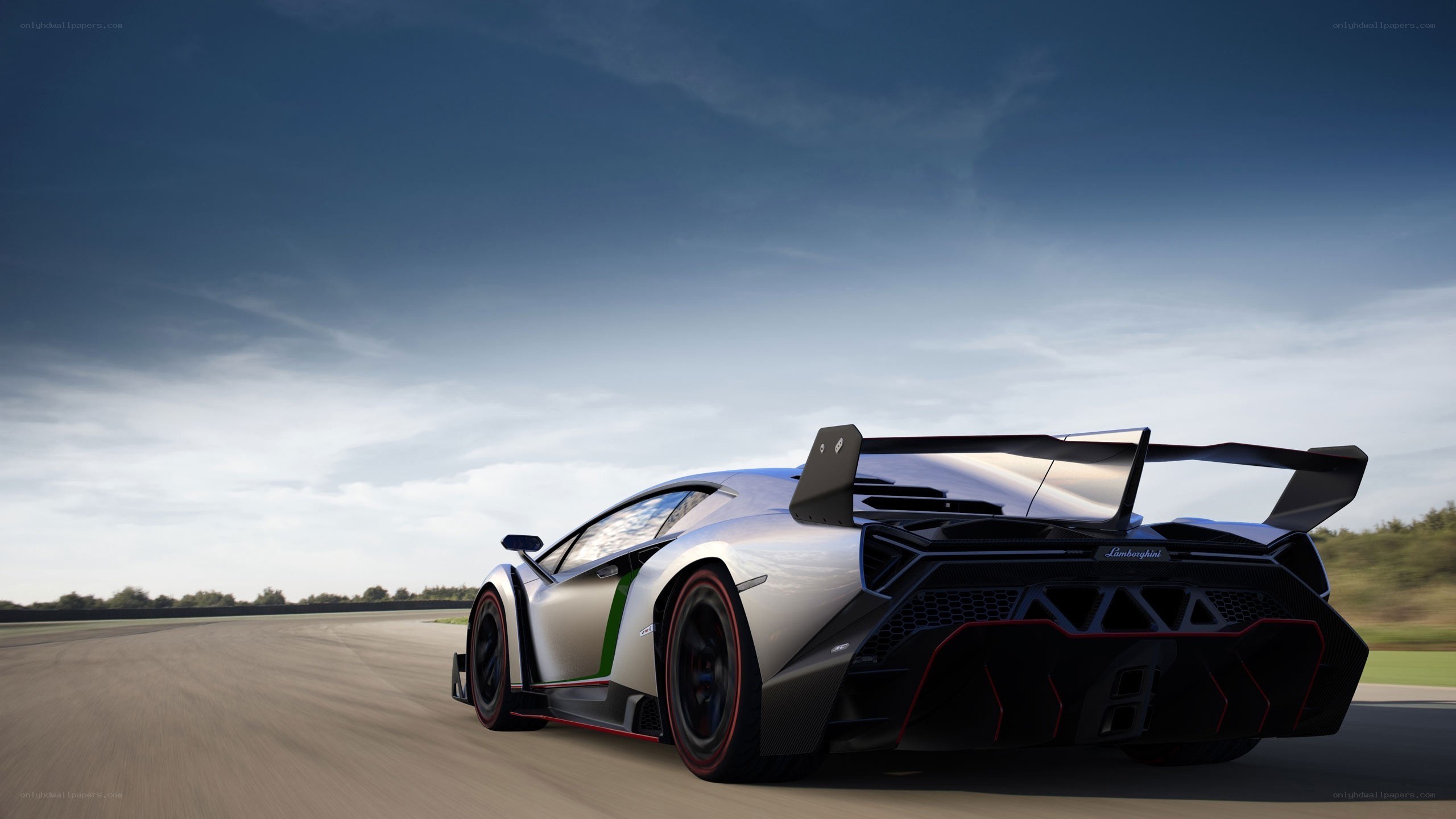 Lamborghini Veneno on racetrack