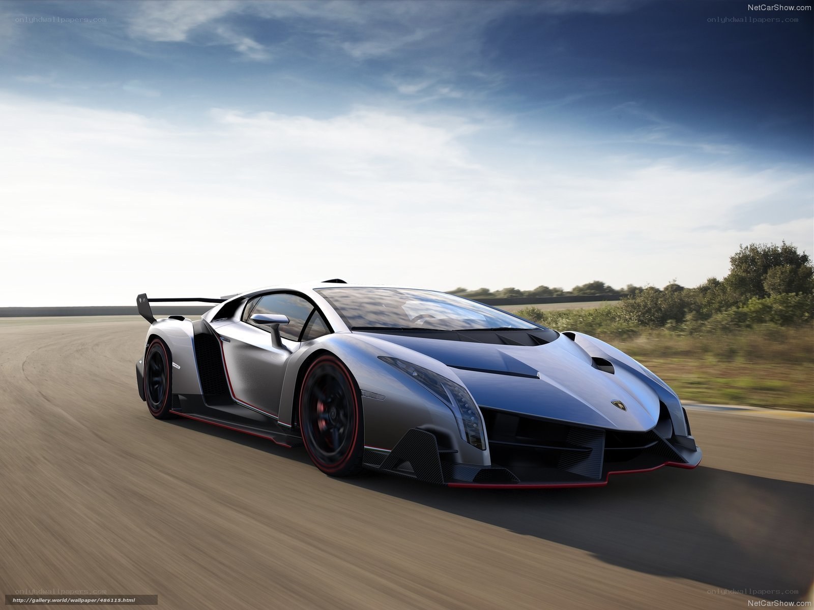 Lamborghini Veneno on track
