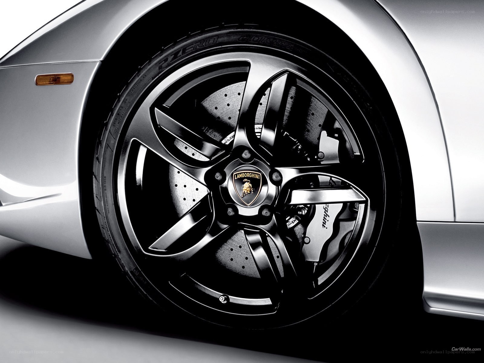 Lamborghini wheel close-up
