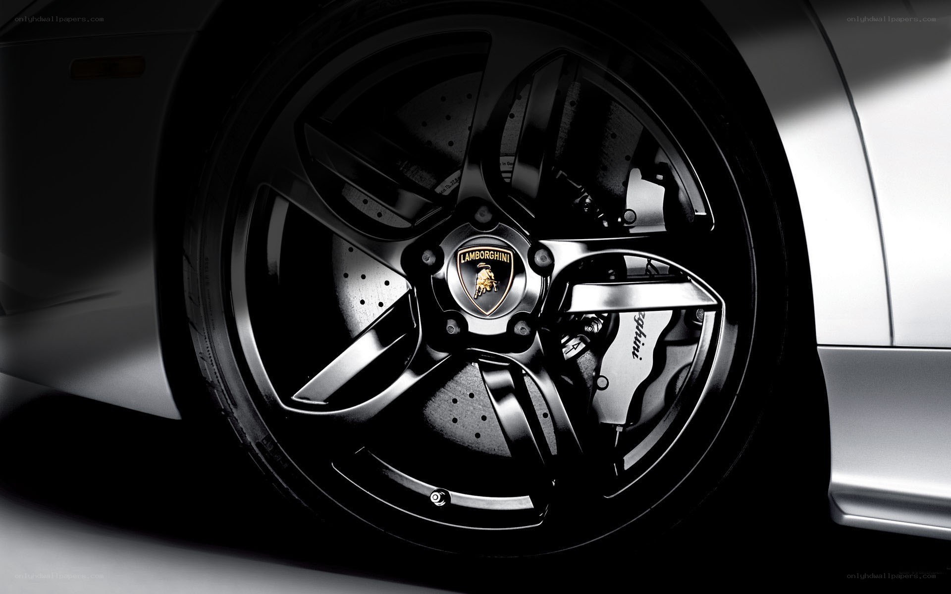 Lamborghini wheel close-up