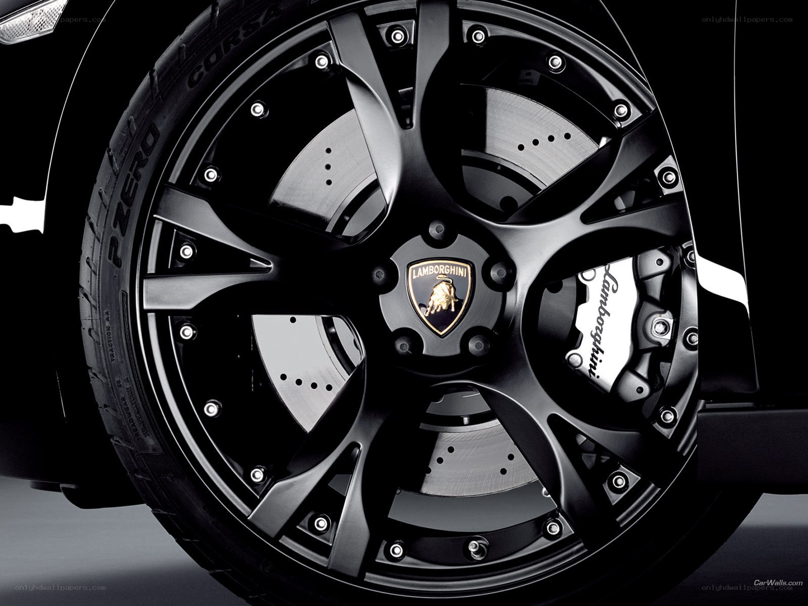 Lamborghini wheel detail