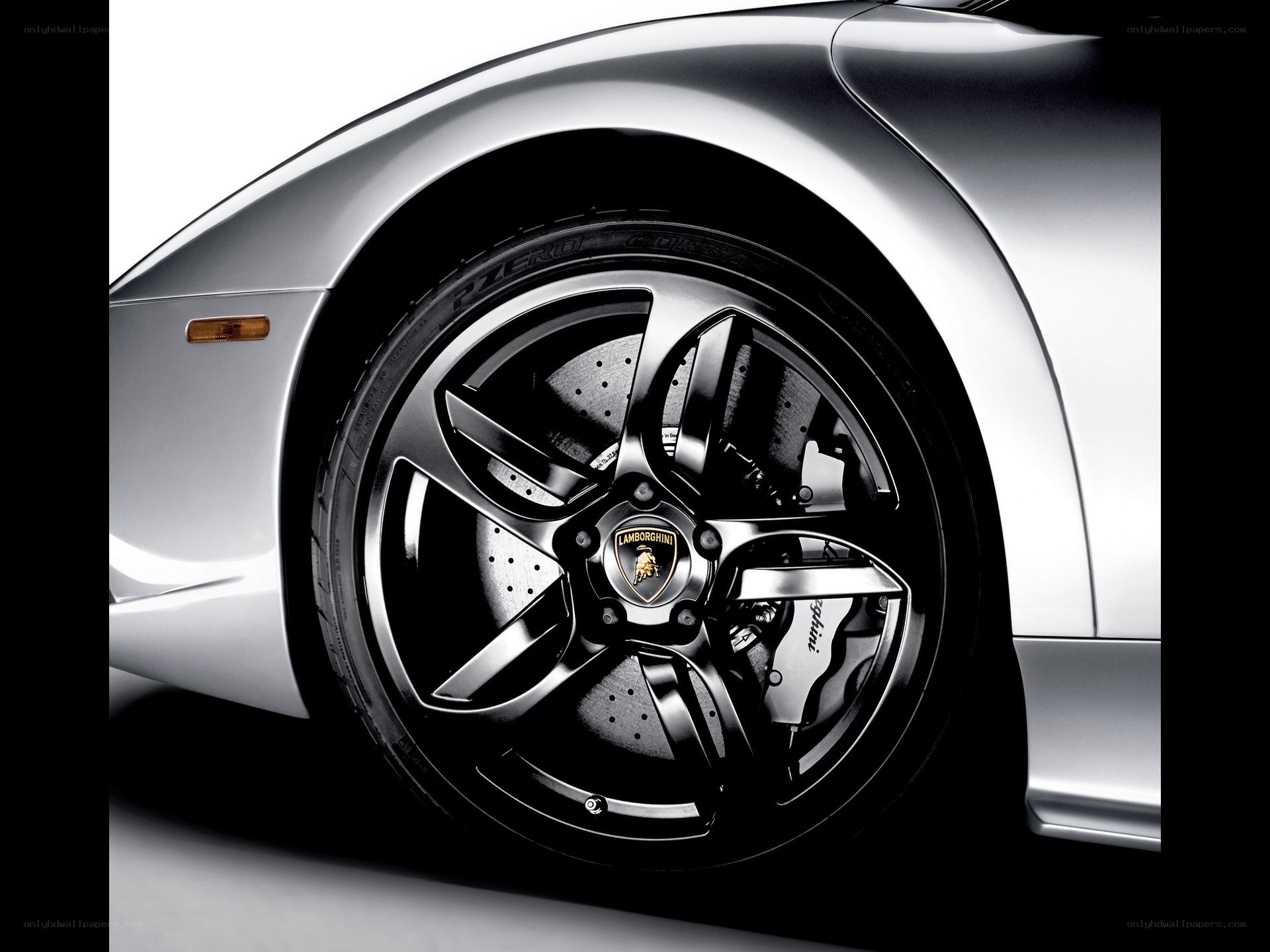 Lamborghini wheel detail