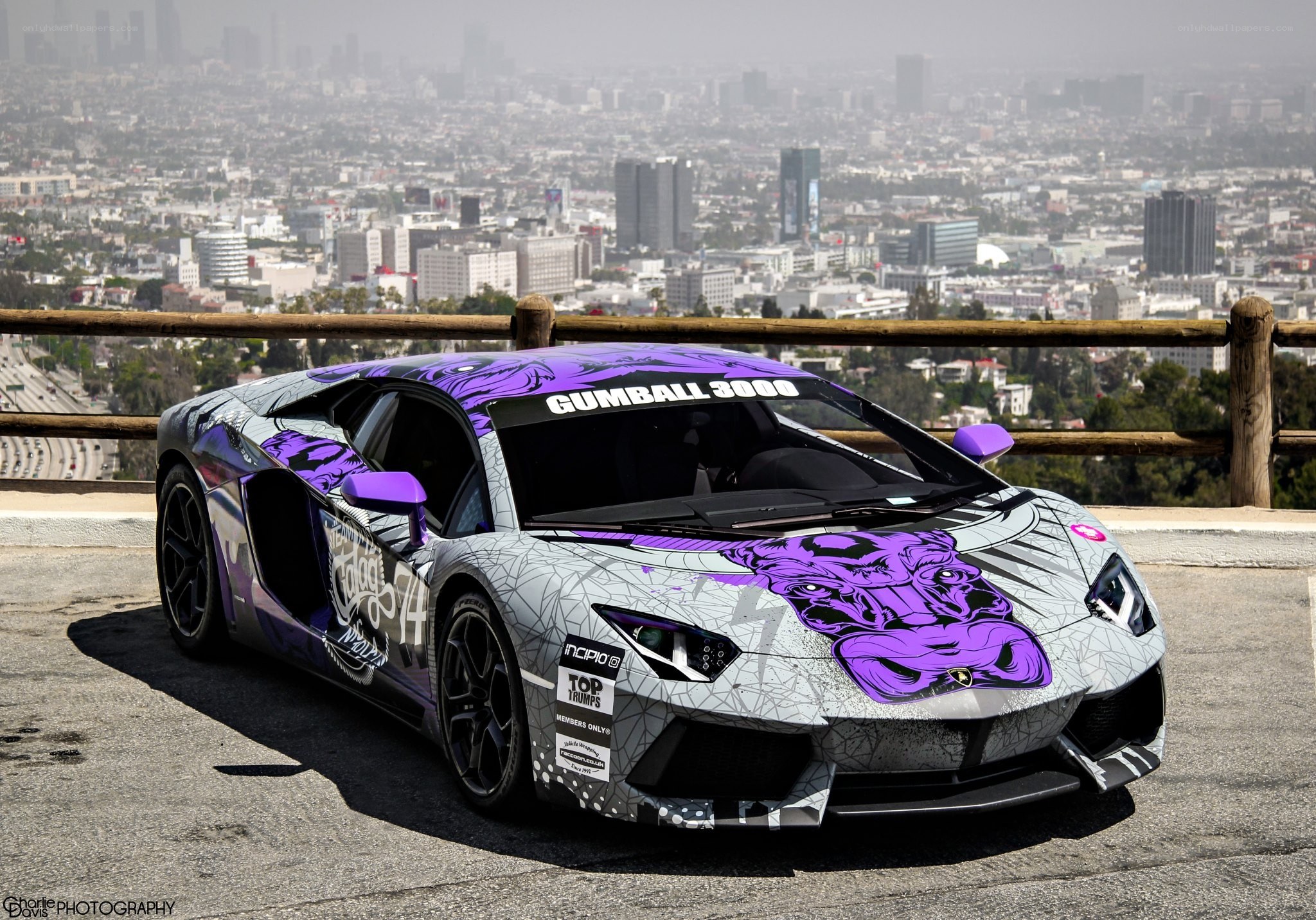 Lamborghini with custom purple wrap