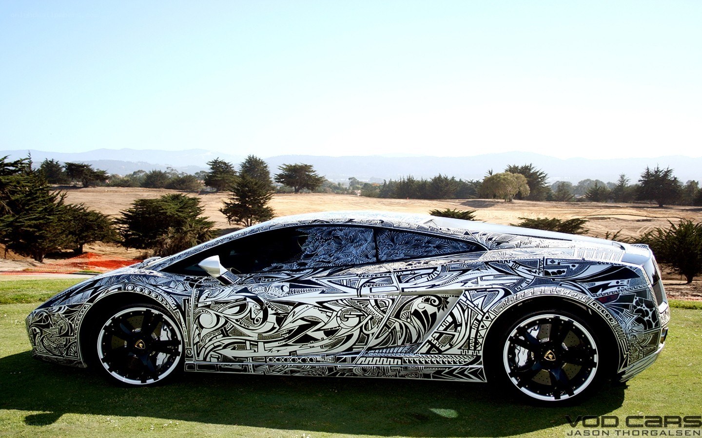 Lamborghini with intricate artwork