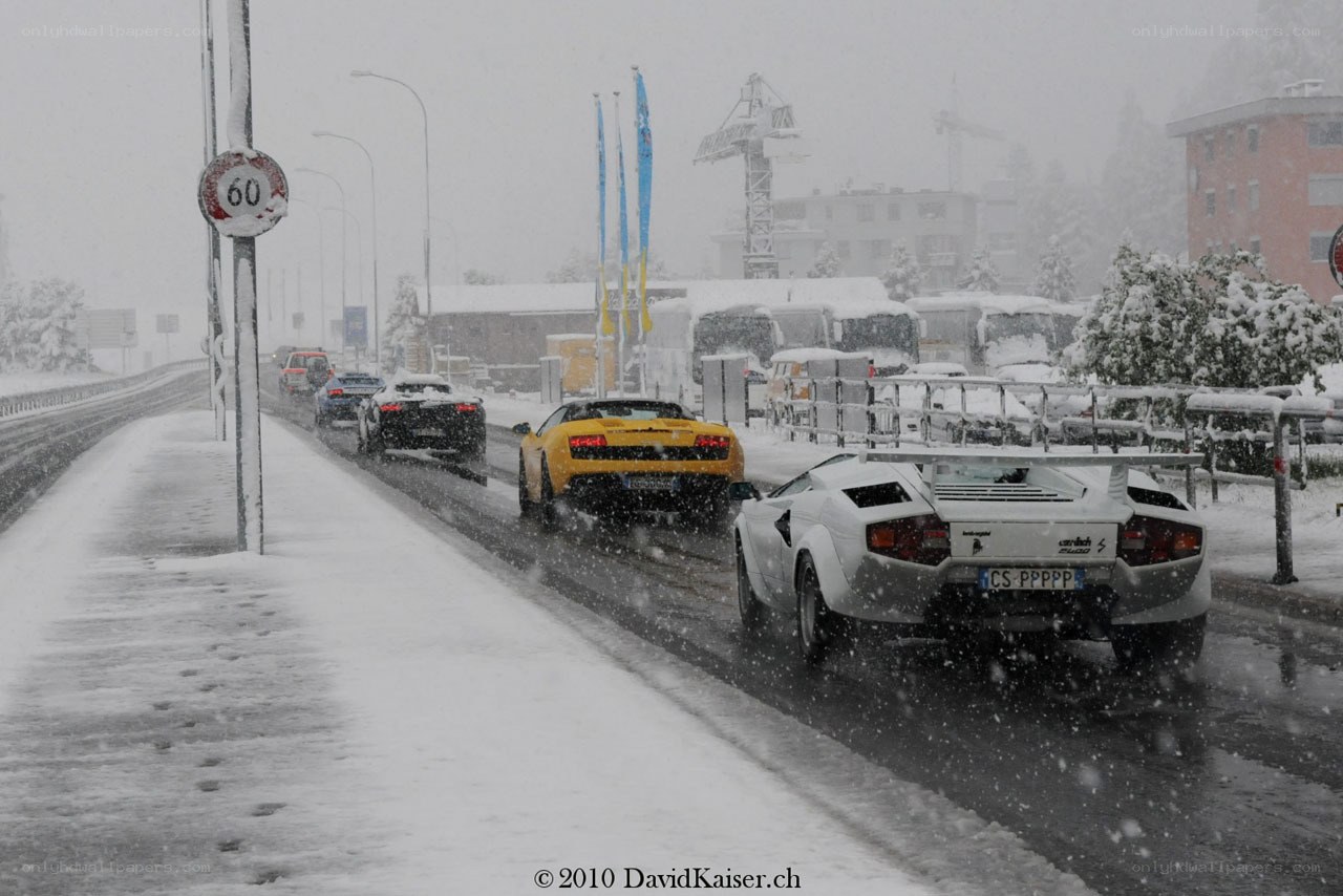Lamborghinis in snowstorm