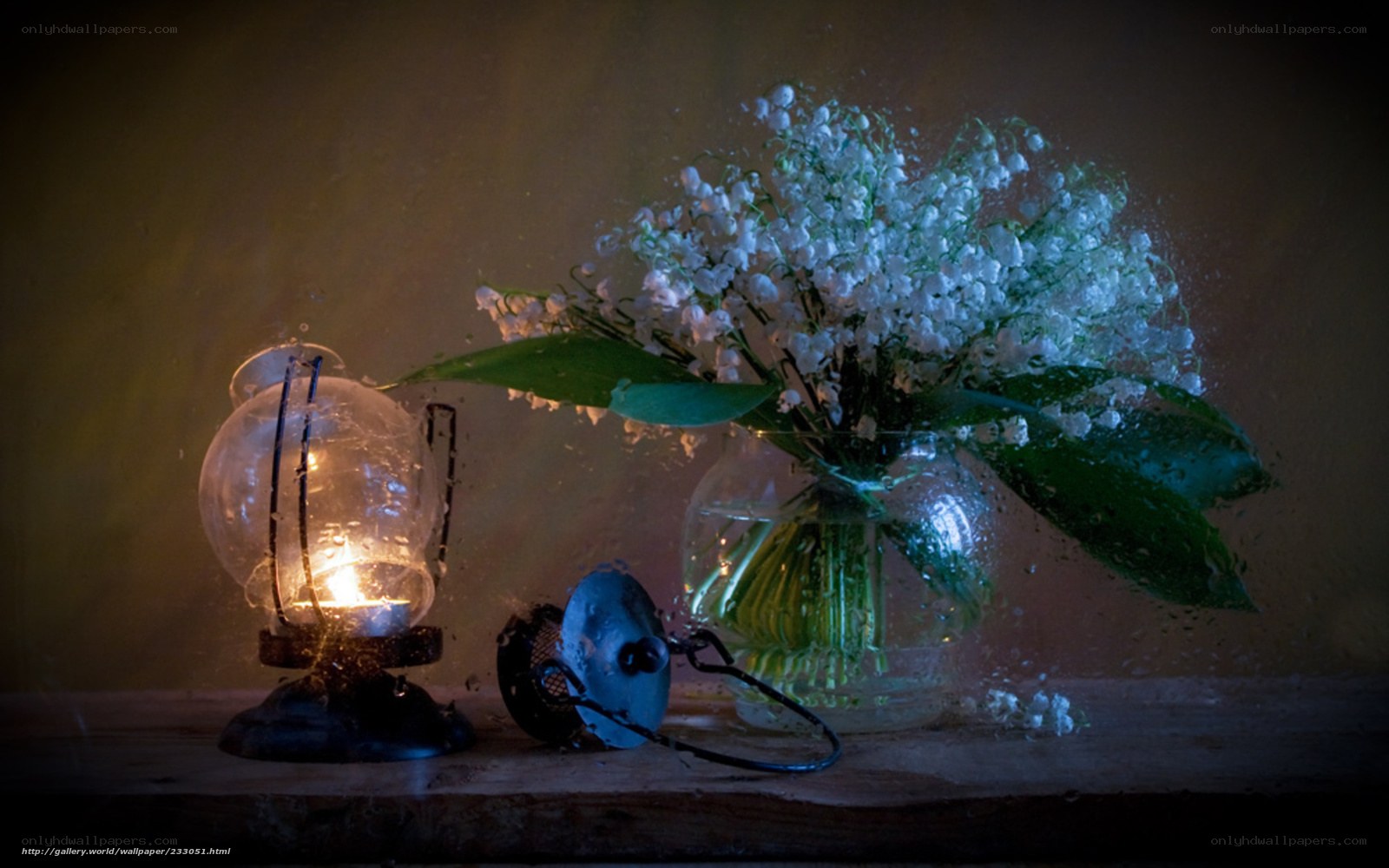 Lamp and flowers in dim light