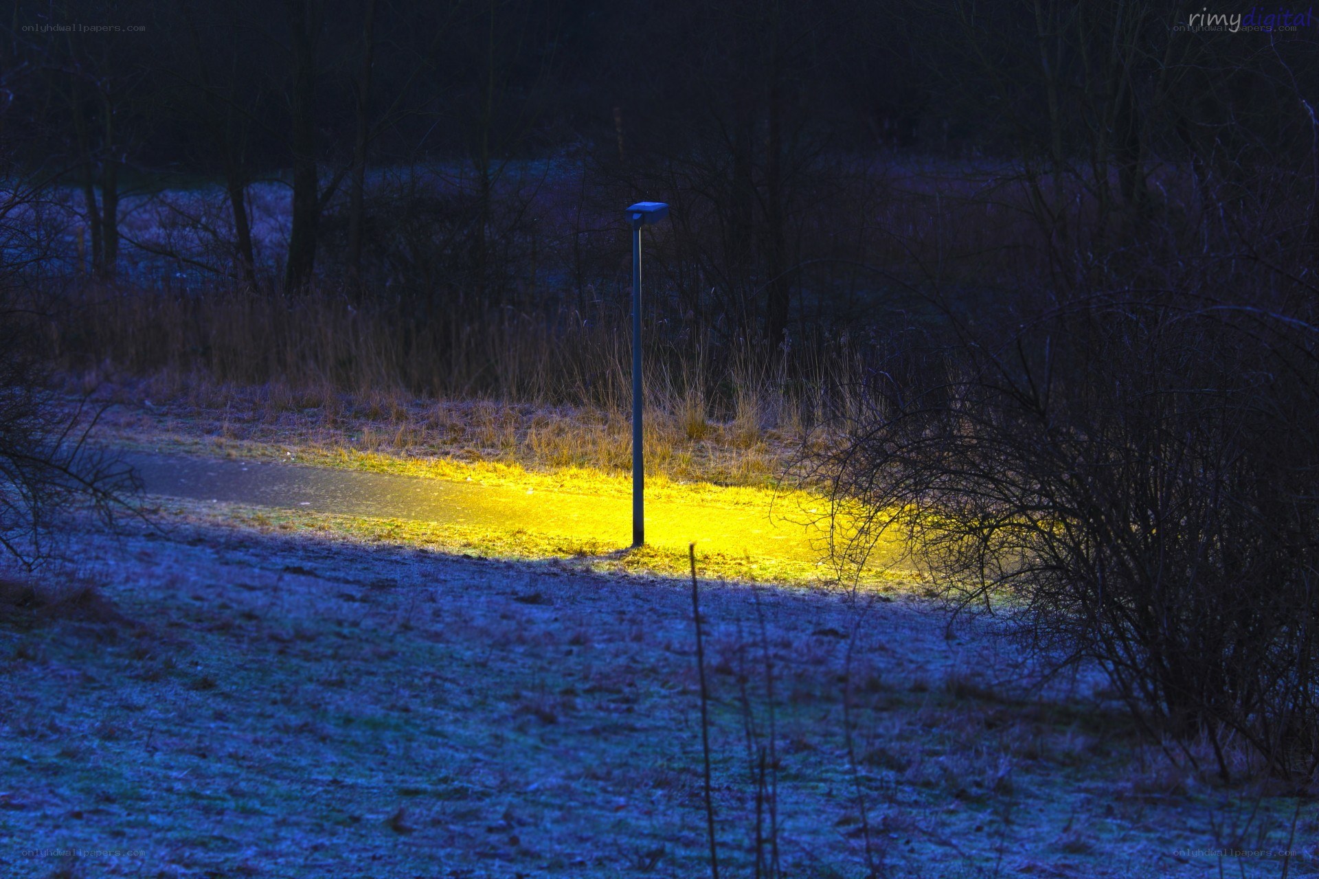 Lamp illuminates path at night
