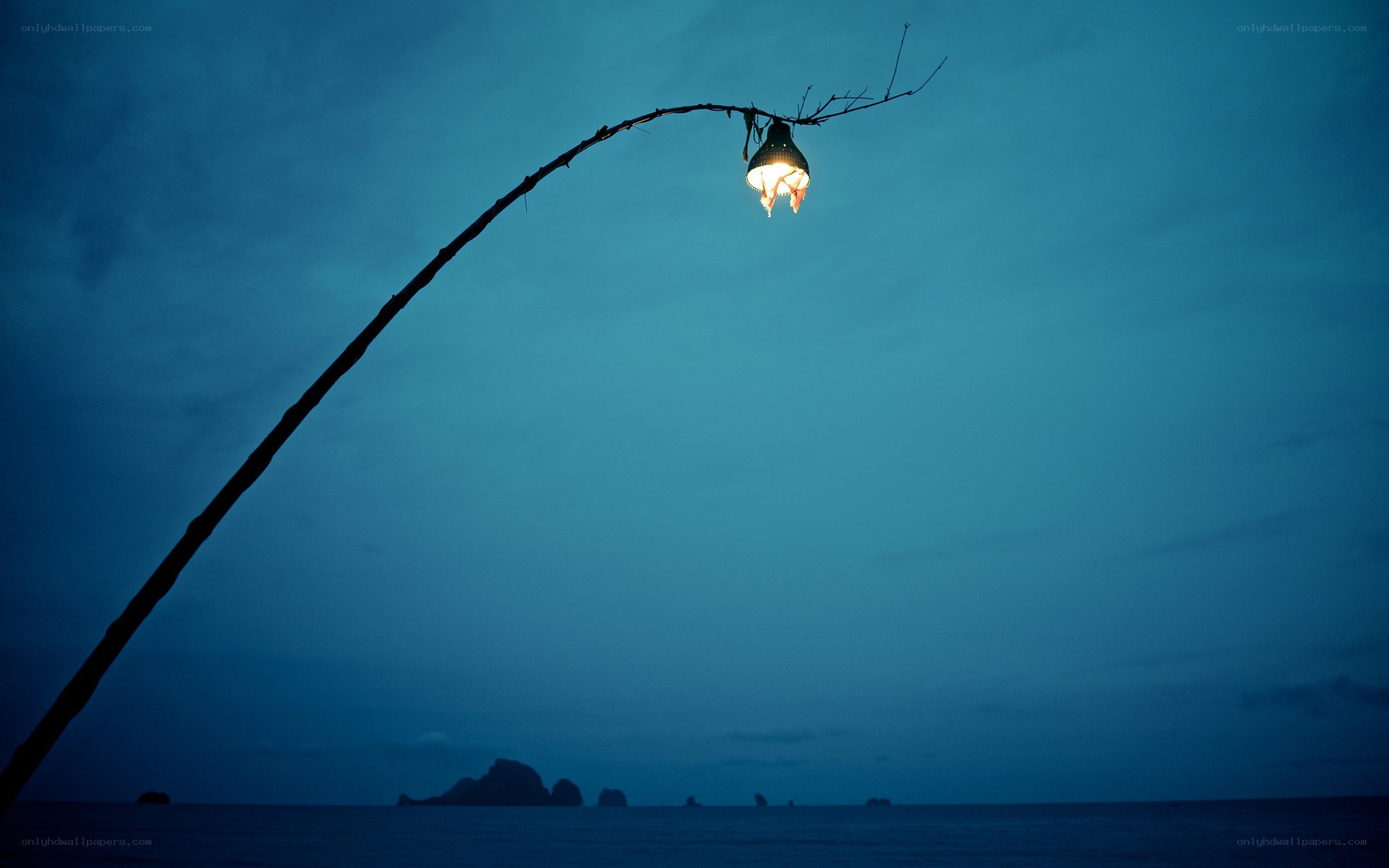 Lamp on a branch at dusk