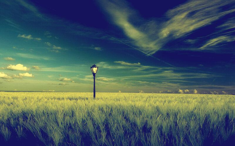 Lamp post in a wheat field