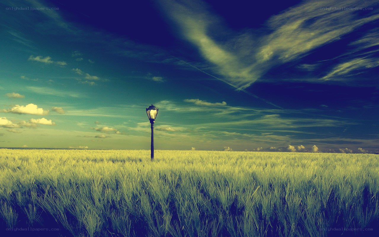 Lamp post in a wheat field
