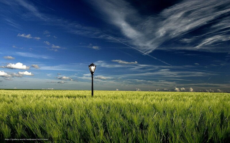 Lamp post in green field
