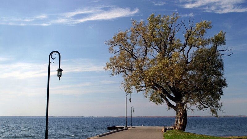 Lampposts by the lake