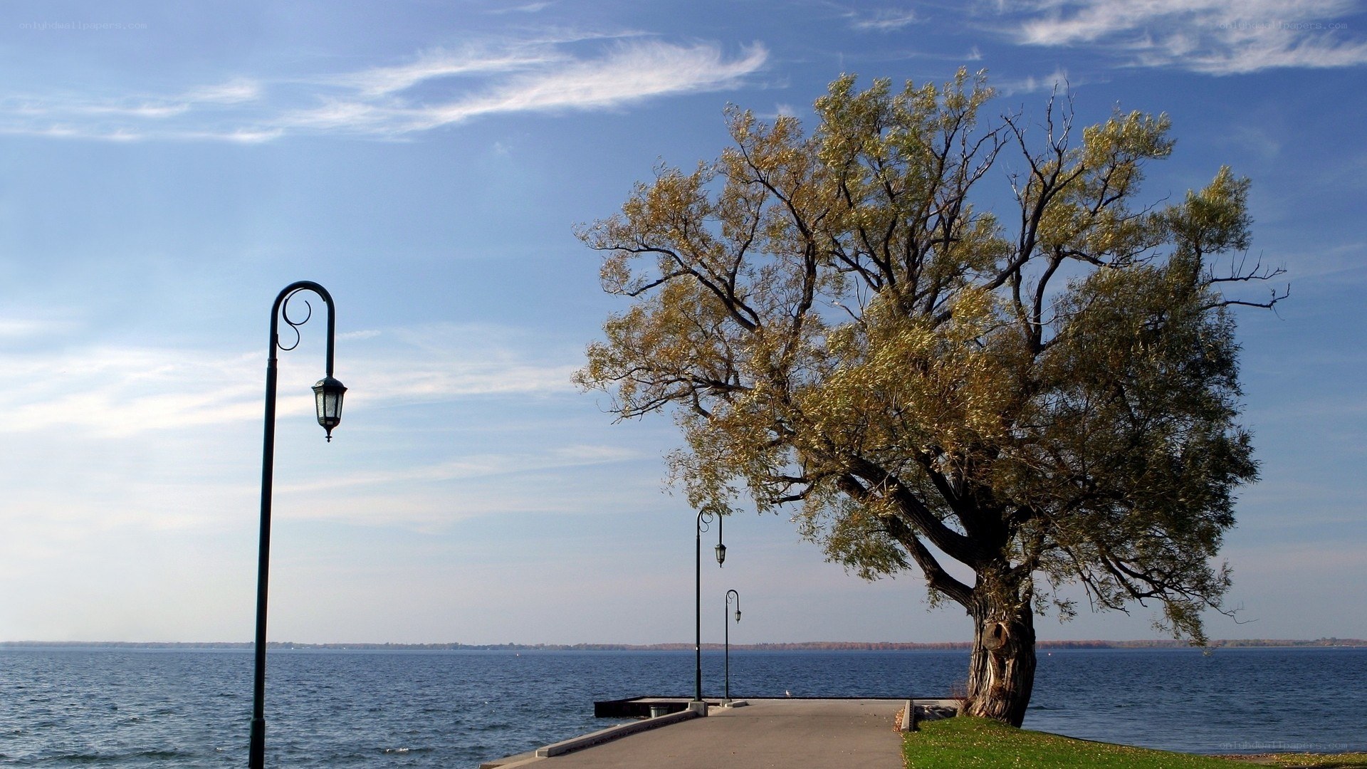 Lampposts by the lake