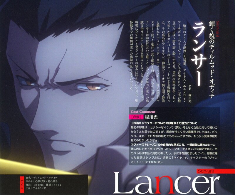 Lancer Servant Character Profile