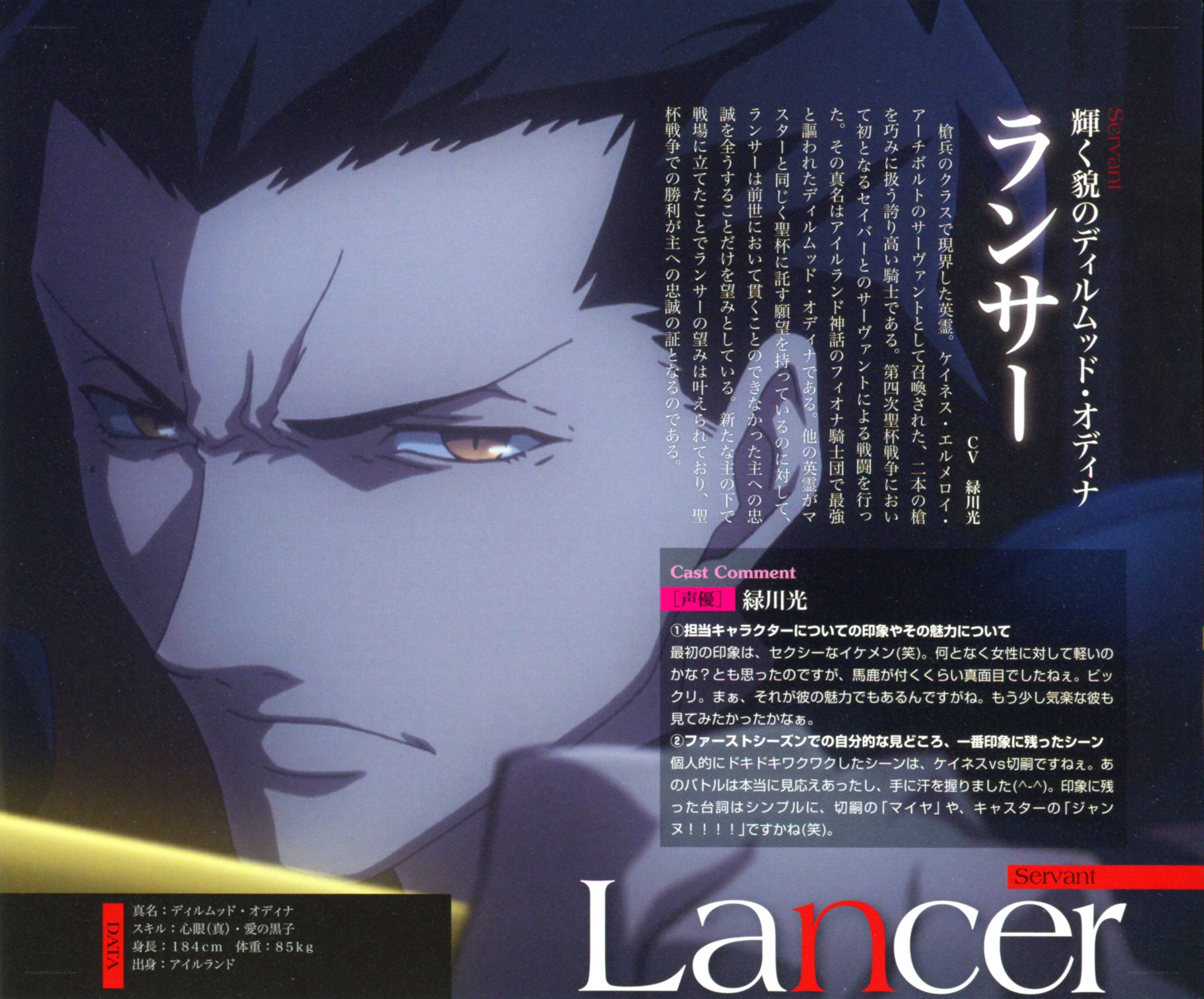 Lancer Servant Character Profile